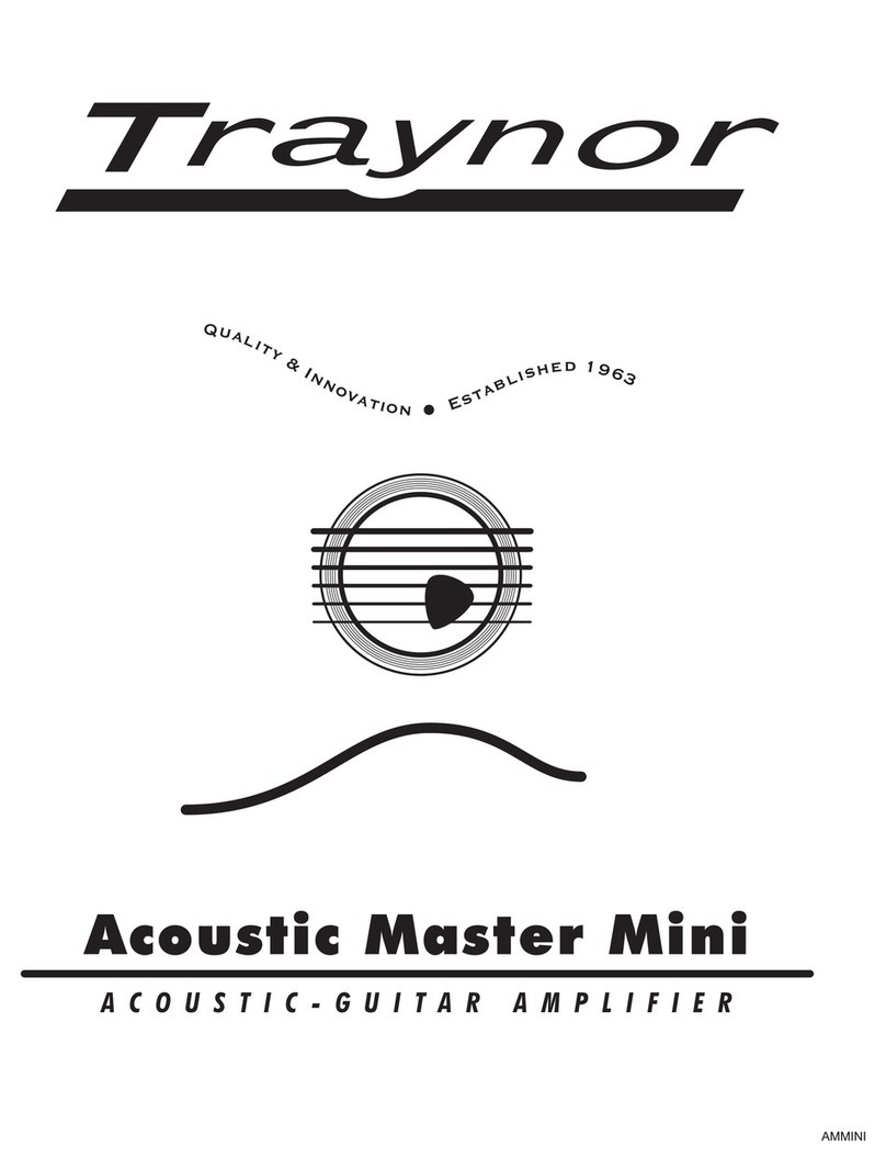 Traynor Acoustic Master Mini Bedienungsanleitung