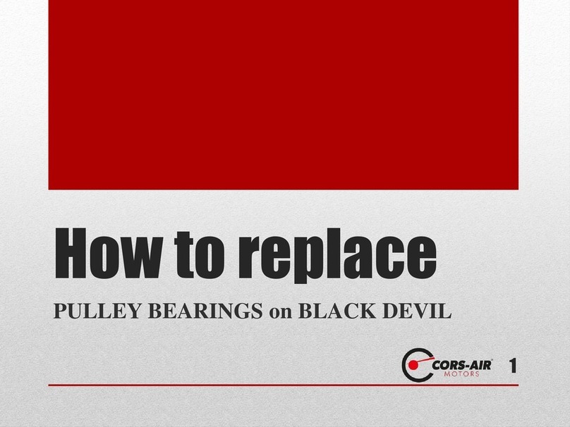 Corsair Black Devil Bedienungsanleitung