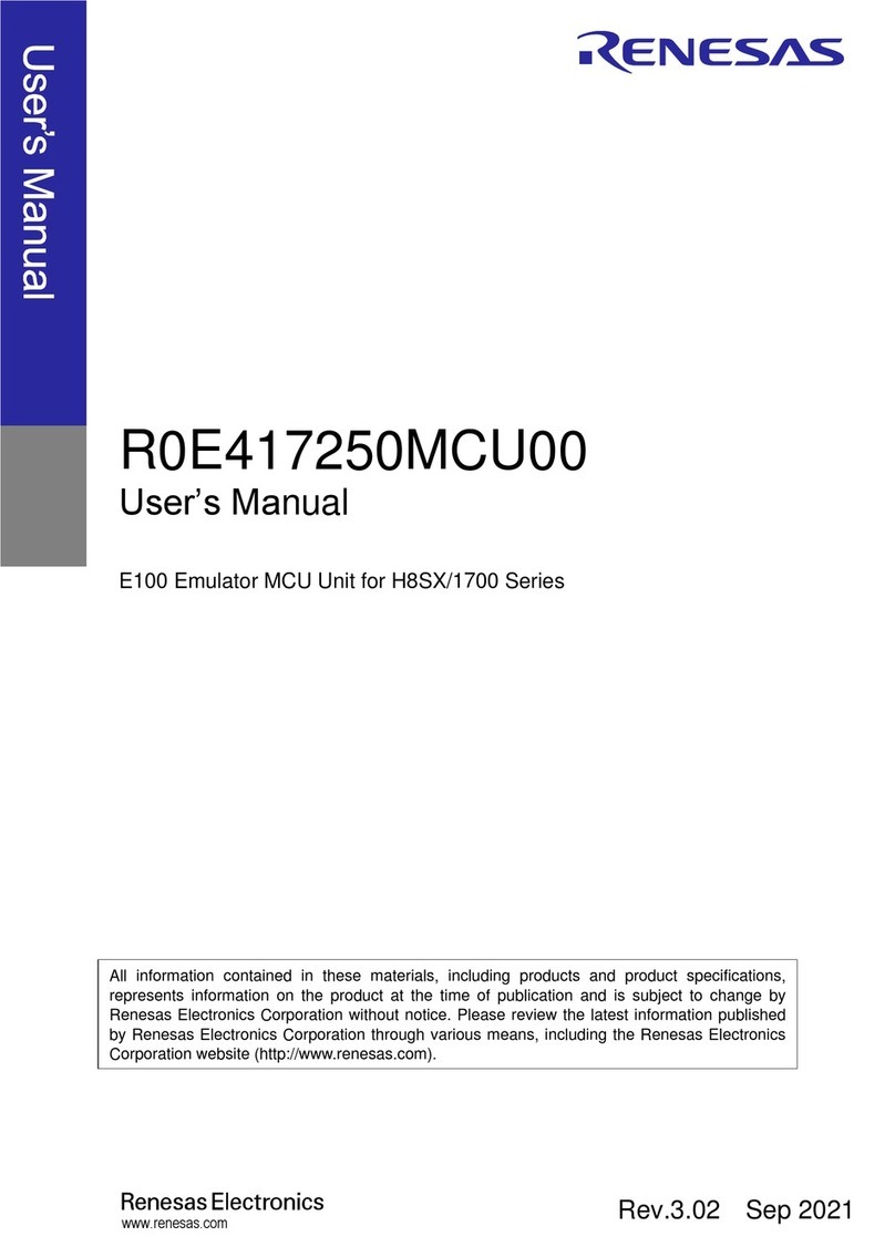 Renesas E100 Bedienungsanleitung