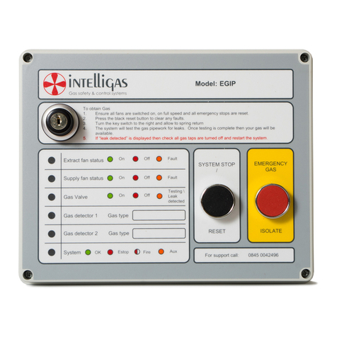 Intelligas EGIP Merkblatt