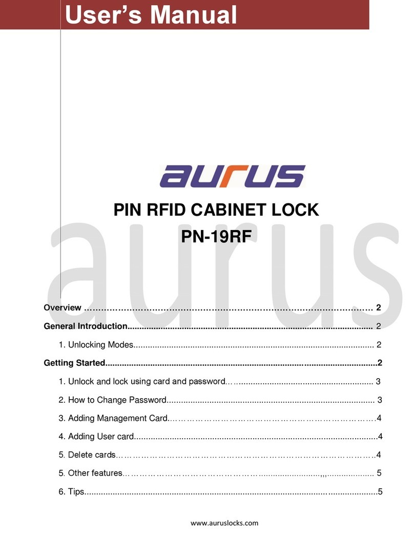 Aurus PN-19RF Bedienungsanleitung