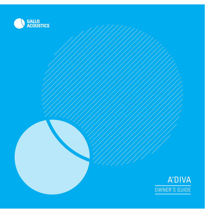 Gallo A'DIVA Bedienungsanleitung