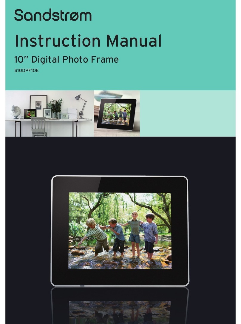 Sandstorm S10DPF10E Bedienungsanleitung