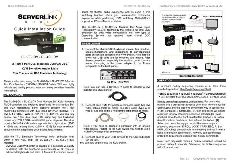 serverLink SL-202-DV Bedienungsanleitung