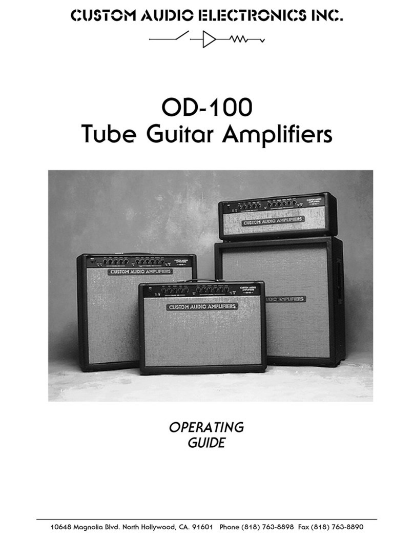 Custom Audio Electronics OD-100 Bedienungsanleitung Custom Audio Electronics OD-100 Bedienungsanleitung