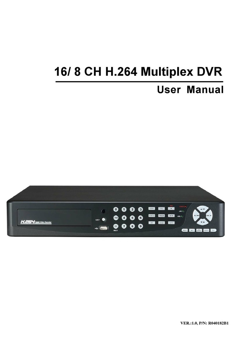 netZeye Multiplex DVR Bedienungsanleitung