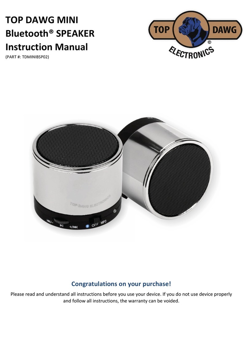 Top Dawg Electronics TDMINIBSP02 Bedienungsanleitung