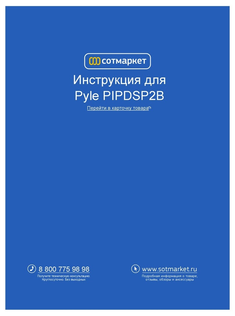 Pyle PIPDSP2 Bedienungsanleitung