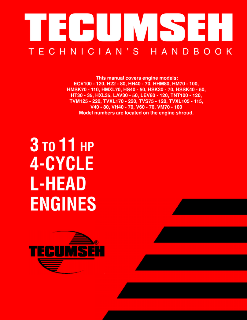 Tecumseh ECV100-120 Bedienungsanleitung