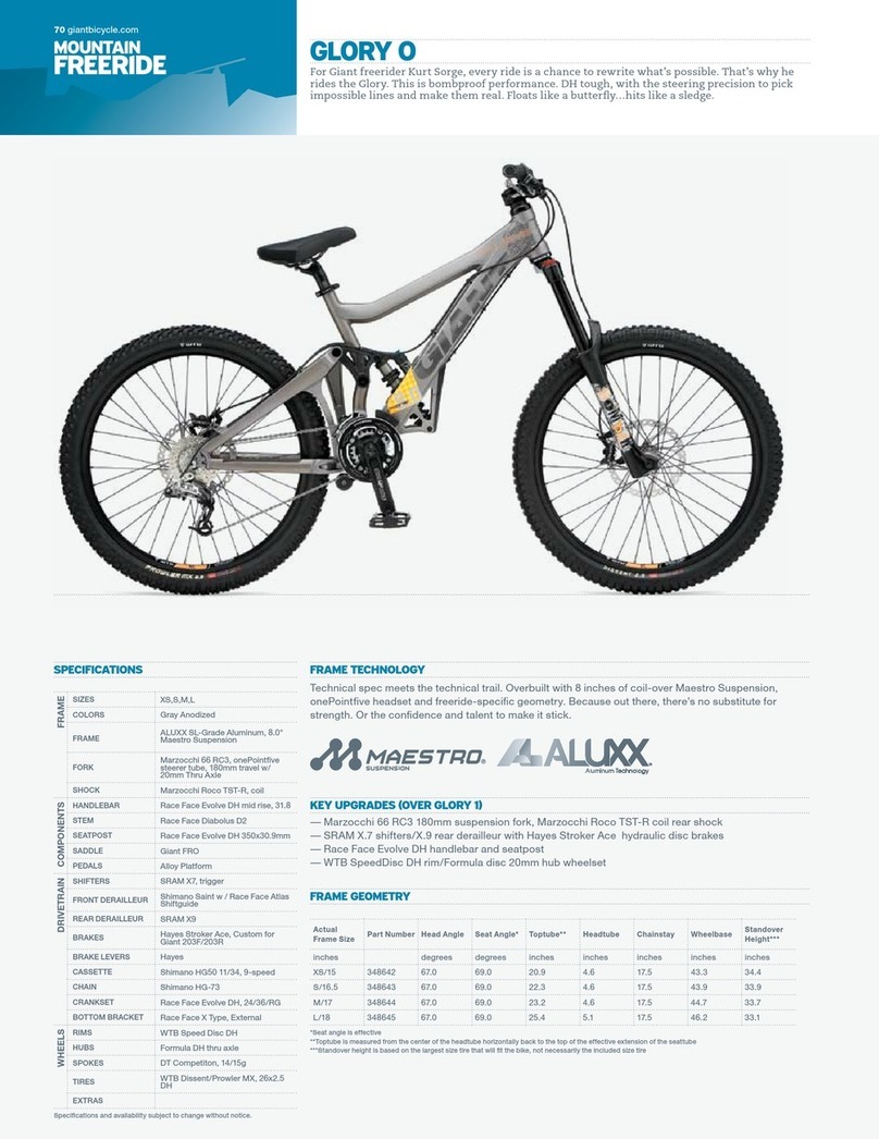 Giant GLORY - SERVICE  V2.0 Bedienungsanleitung