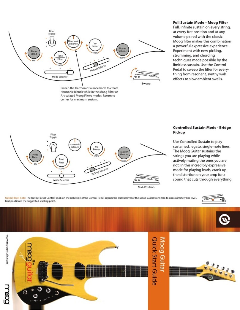 Moog Guitar Bedienungsanleitung