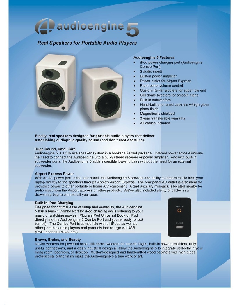 AudioEngine A2 Bedienungsanleitung