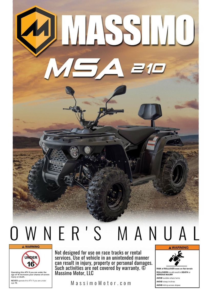 Massimo MSA 210 Bedienungsanleitung