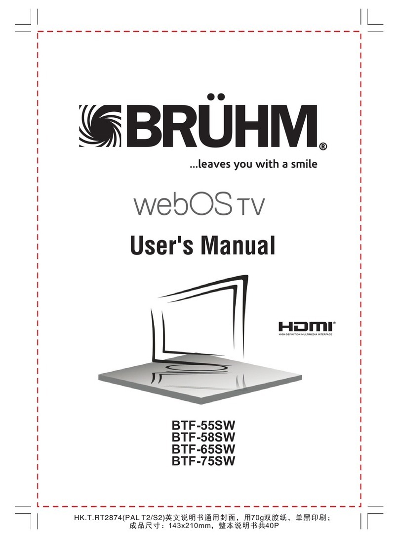 BRUHM BTF-55SW Bedienungsanleitung