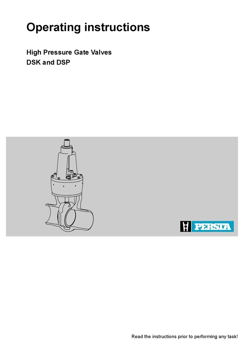 PERSTA DSK 10 Bedienungsanleitung