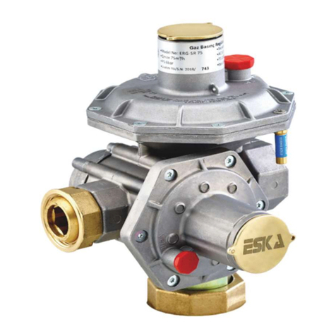 ESKA ERG-SR Service-Handbuch